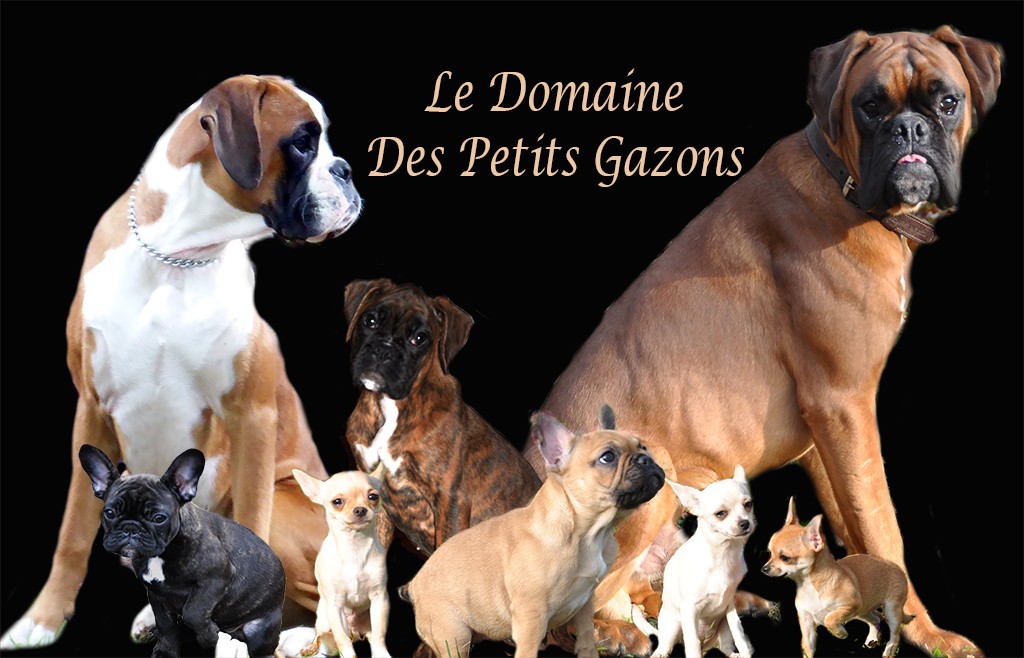 Du Domaine Des Petits Gazons